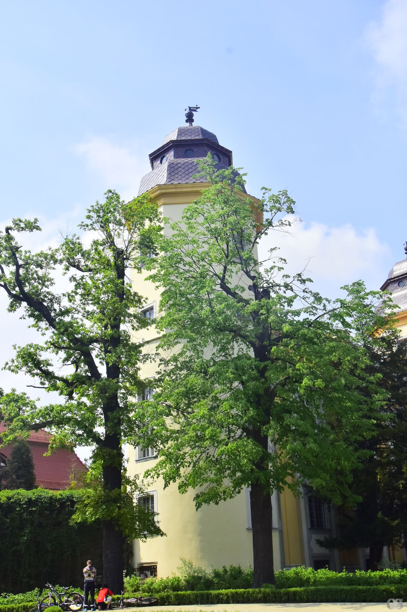 Sciezka Hochbergow 15.jpg